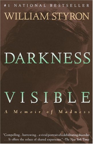 Link to Book Review: Darkness Visible by William Styron